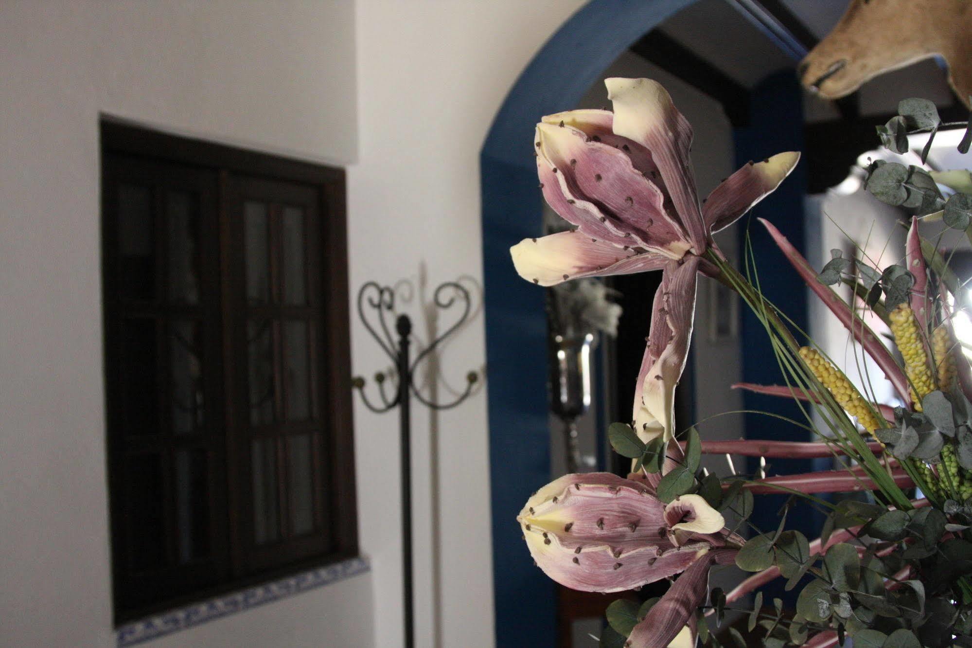 إل روثيو Casa Rural El Sombrero المظهر الخارجي الصورة